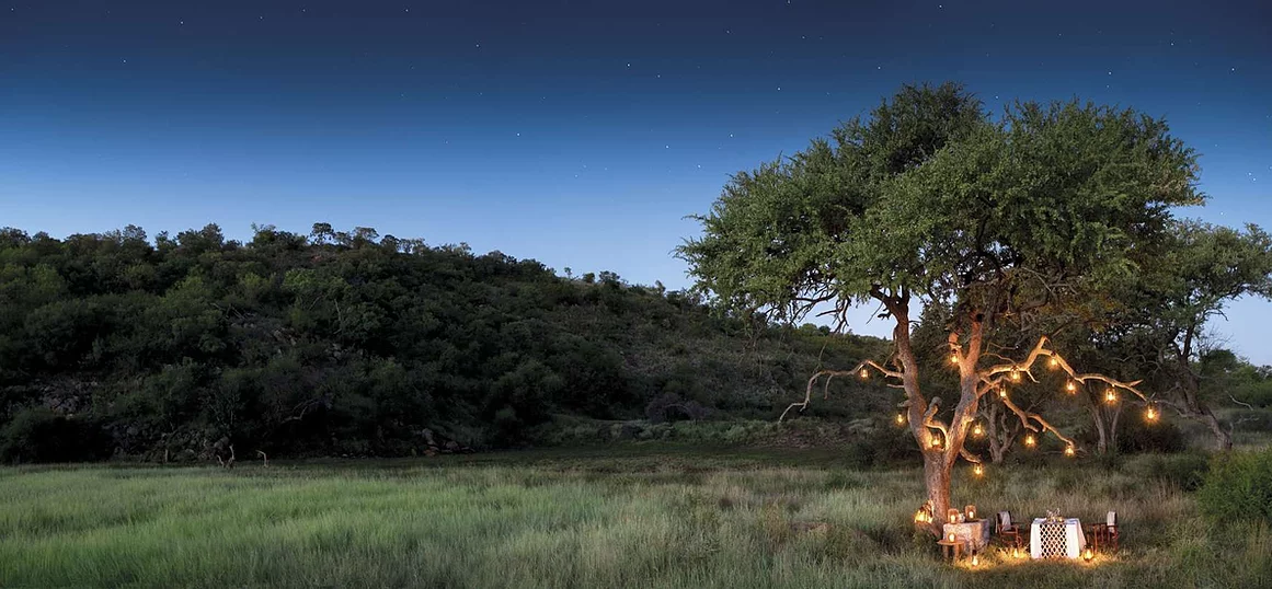 madikwe safari lodge dithaba