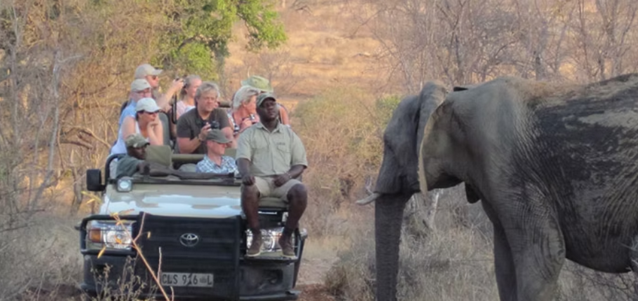 Mohlabetsi Safari Lodge WS_11