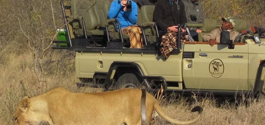 Mohlabetsi Safari Lodge WS_8