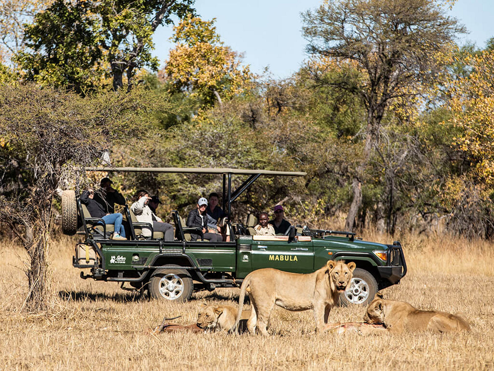 mabula game lodge safari