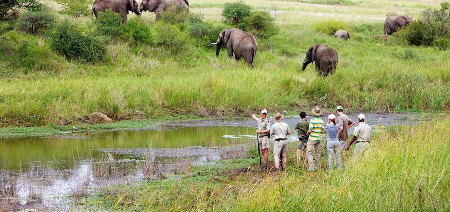 Kapama River Lodge WS_10