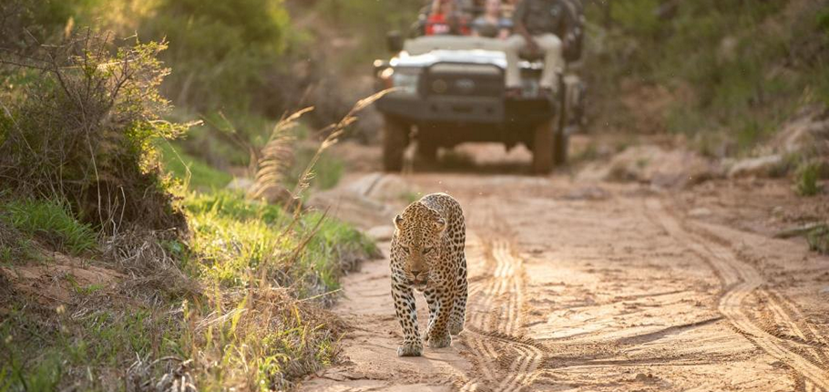 Kapama River Lodge WS_13