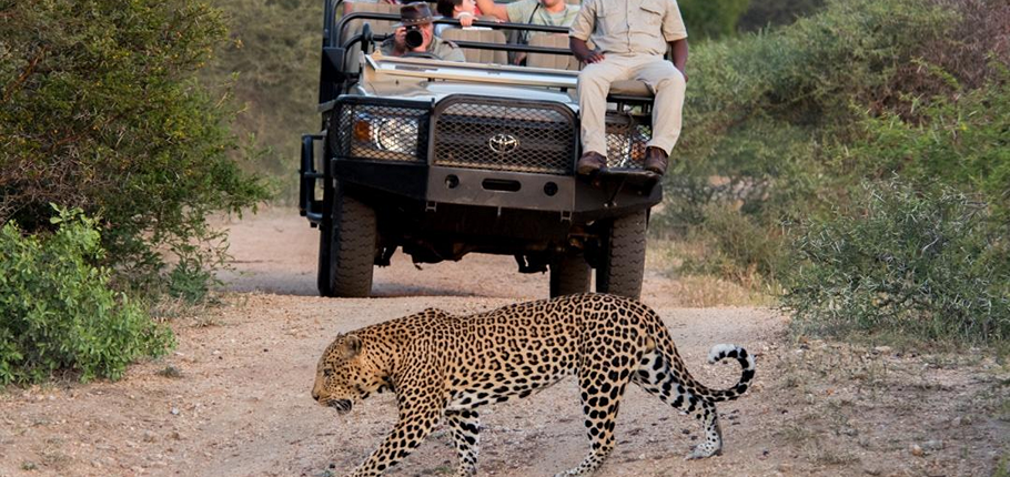 Kapama River Lodge WS_3