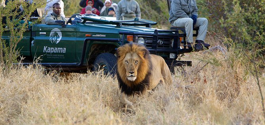 Kapama River Lodge WS_9